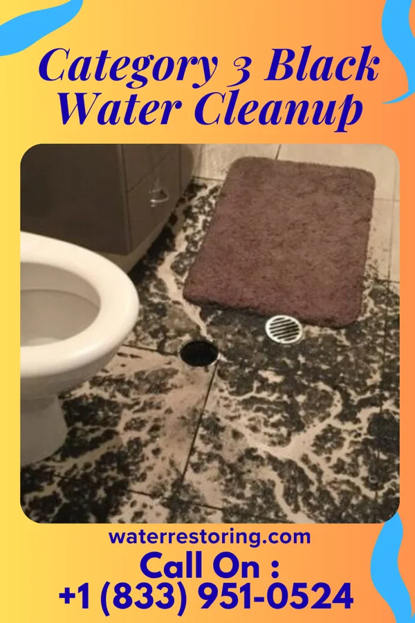 Category 3 Black Water Cleanup in Friendship Heights Village, MD