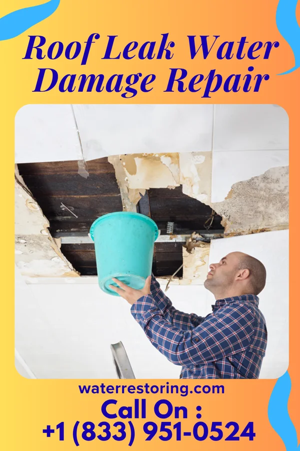 Roof Leak Water Damage Repair in Friendship Heights Village, MD
